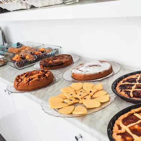 酒店 白金酒店 里米尼