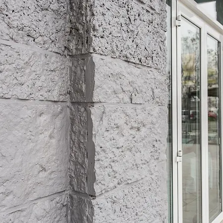 酒店 白金酒店 里米尼